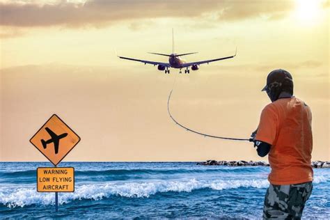 Funniest Zoom Backgrounds & Wallpapers (Free to Download)