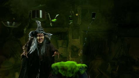 Download Magical Forest during Witching Hour Wallpaper | Wallpapers.com