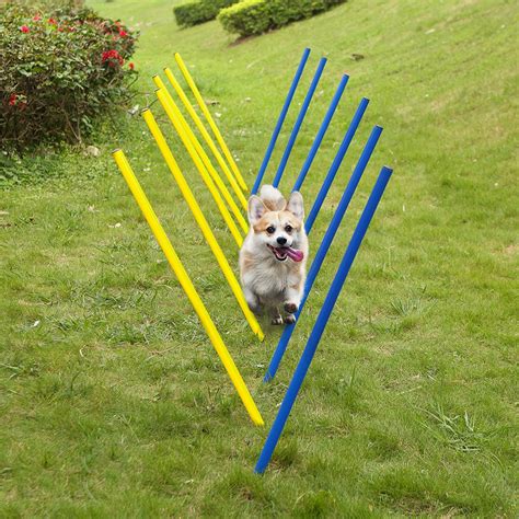 pet prime Outdoor Dog Obstacle Agility Training Exercise Equipment Kit ...
