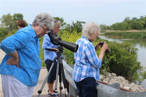 Observation 的图像结果