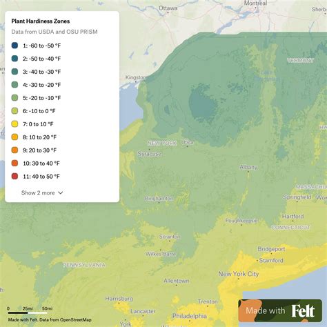 ZIP Codes in New York