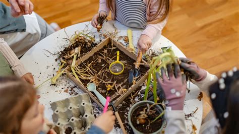 Inquiry Learning Process 的图像结果