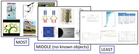 Image result for Transactive Memory Quizlet