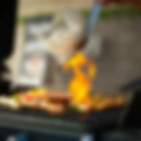 Image result for How to Degrease Grill