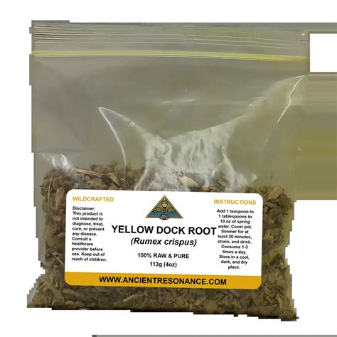 Yellow Dock Root - Ancient Resonance