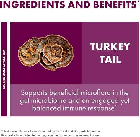 Turkey Tail Mushroom Supplement | Host Defense