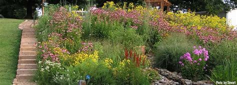 Native Plant Landscape Design 的图像结果