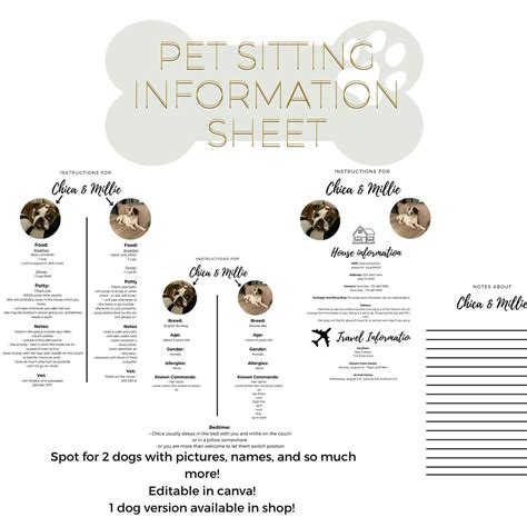 Pet Sitting Daily Rates at Greg Booth blog