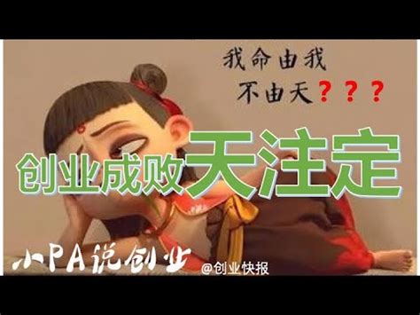 你有没有创业成功的命！来，给你算算【小帕姐的创投日常】 - YouTube