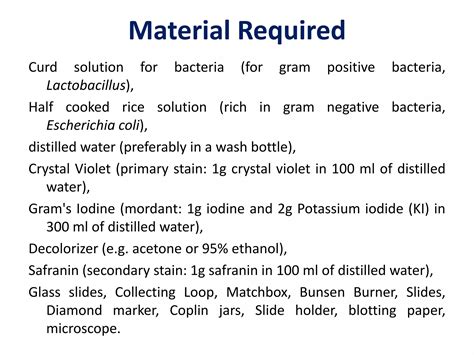 Preparation Gram Stain 的图像结果