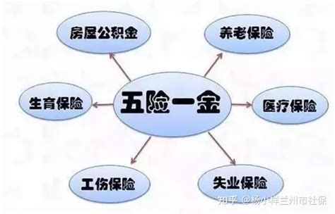 企业社保代理，一站式有前景的社保代理服务，选择云保_社保代理_云保(上海)信息科技有限公司