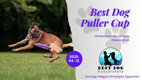 Best Dog Puller Cup - Hivatalos puller verseny, Zaranyi Ltp., Kaposvár ...