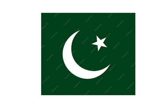 Premium Vector | Pakistan flag official country flag world flag icon ...