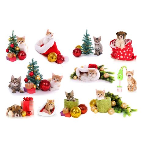 Buy Farmmaith Home Dcor Nature Fridge Sticker Design Self Adhesive Wall ...