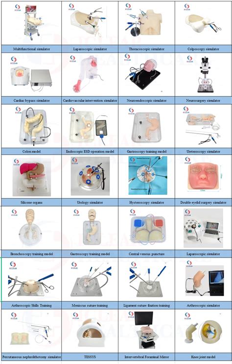 Nerve Block Injection 的图像结果
