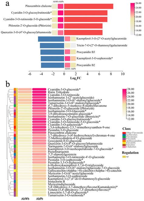 Comparative Metabolomic and Transcriptomic Analyses Uncover Variation ...