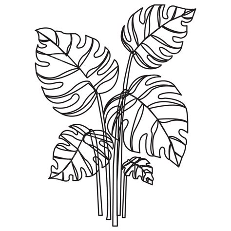 Line Art Botanical Plant Png, Line Art Botanical, Plant House ...