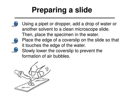 Image result for Cell Diffusion Microscope