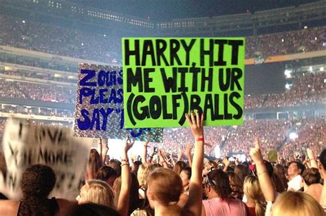Image result for One Direction Concert Fan Project