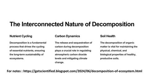Image result for Decomposition Explained