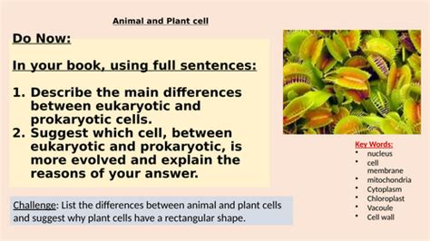Cell Structure GCSE 的图像结果