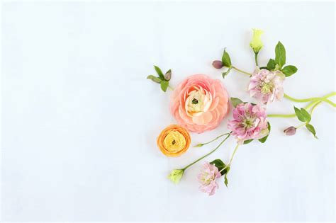 Boho Computer Wallpaper 的图像结果