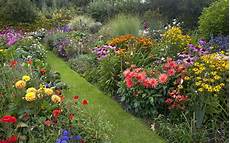 Best Plants For Cottage Garden by Top 10 Plants For A Modern Cottage Garden David Domoney Best Plants For Cottage Garden