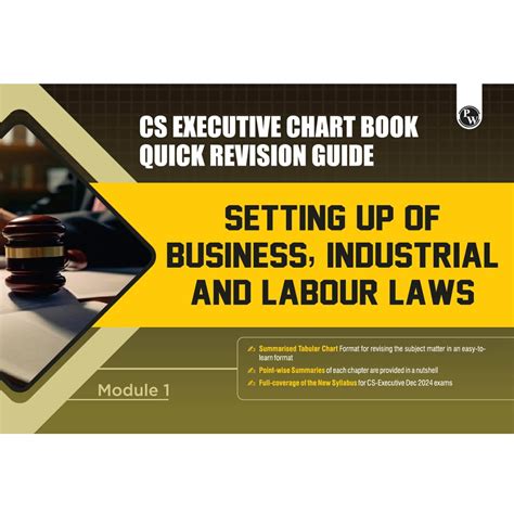 Buy PW CS Executive Chart Books Quick Revision Guide Setting Up of ...