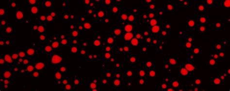 General | Research Matters