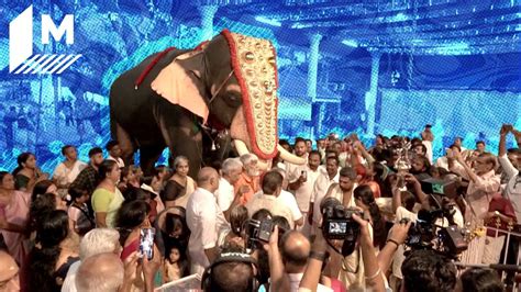 Robot Elephants Are Replacing Real Ones In An Indian Temple (Video ...