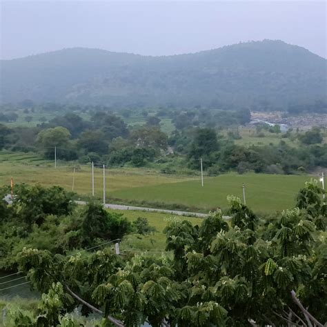 HOTEL MAYURA BHARACHUKKI (Karnataka/Mandya) - Hotel Reviews, Photos ...