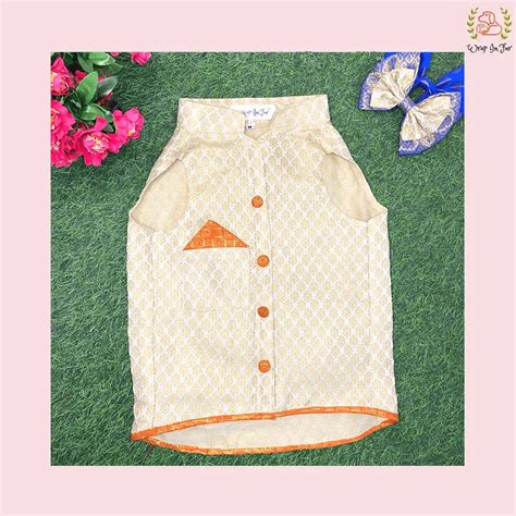 Shop Cream Orange Sherwani for Dogs – Wrapinfur