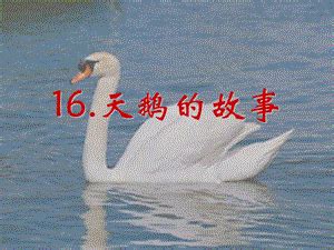 Code API 的图像结果