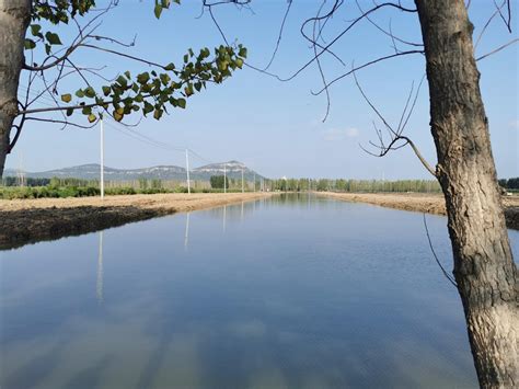 河北肥乡：废弃坑塘变生态公园-河北经济网-长城网