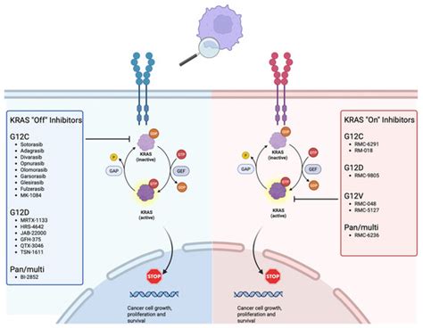 Current Oncology | Special Issue : Therapeutic Studies from Pre ...