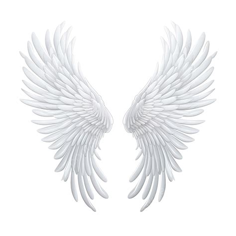 Angel Wings Isolated Ai Generated, Wing, Angel, Feather PNG Transparent ...
