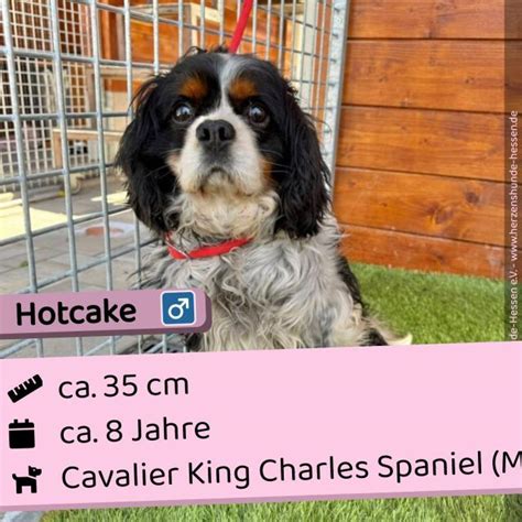 Kostenlose Kleinanzeigen - fast-alles.net