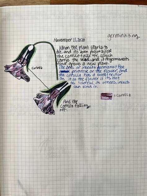 Science Notebook Example 的图像结果