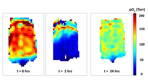 Image result for AO2 O2 Cell Uses