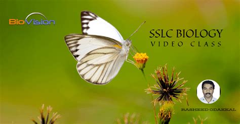 SSLC BIOLOGY VIDEO CLASS - UNIT 1 SENSATIONS AND RESPONSES - PART 3