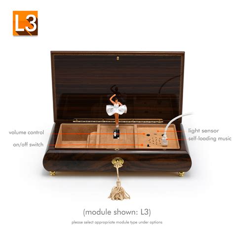 Image result for Custom Sound Module