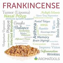 Image result for Frankincense Oil Benefits