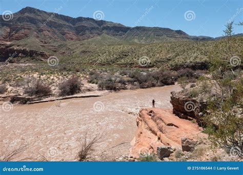 Overlooking the Virgin River in the Gorge Stock Photo - Image of ...