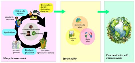 Polysaccharide-Based Bioplastics: Eco-Friendly and Sustainable ...