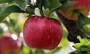 Image result for Compile Code Icon