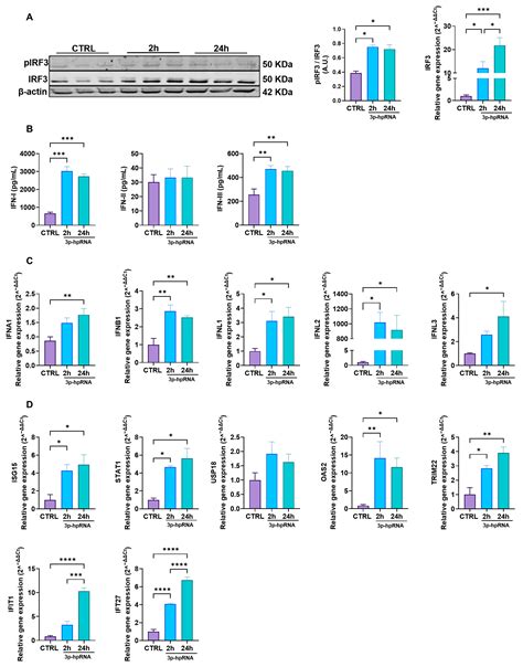 Mitochondrial Antiviral Signaling Protein Activation by Retinoic Acid ...