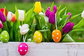 Image result for Cute Easter Desktop