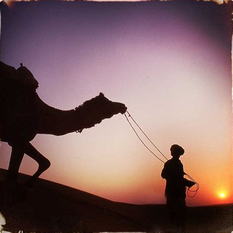 Language India Chart 的图像结果