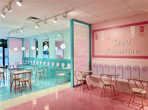 Cat Coffee Shop Columbus Ohio at Maggie Parham blog