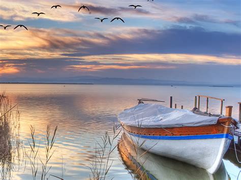 HD Comm 的图像结果